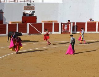 plaza-toros-villanueva-fresno-3